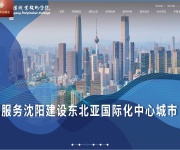 沈阳职业技术学院 网站截图