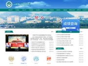 山东电力高等专科学校 网站截图