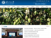 广西大学 网站截图